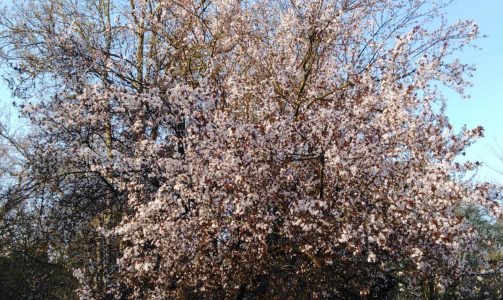 02. Klasse